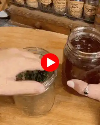 Dense, dark cider honey — the rare Himalayan honey at the center of this memory loss treatment discovery